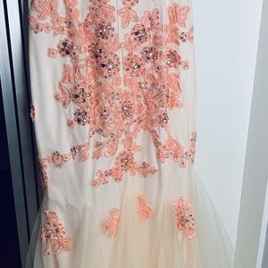 A speed Design  Salmon Pink Mesh Neckline Sleeveless Mermaid Gown